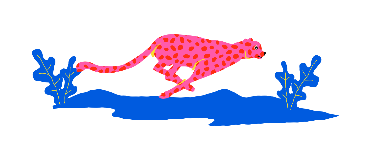 img-leopard